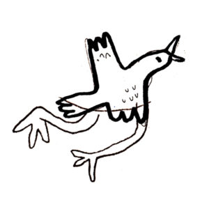 vogel illustration