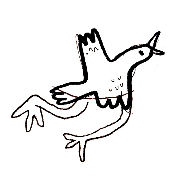 vogel illustration